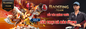 BAOSTING.TEAM – TRANG ĐÁ GÀ SỐ 1 ĐẠI DIỆN CHO BẢO STING