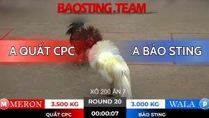 Bảo Sting Tonhon Trận 20 Ngày 18/10/2025