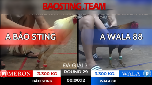 Bảo Sting Tonhon Trận 29 Ngày 18/10/2025